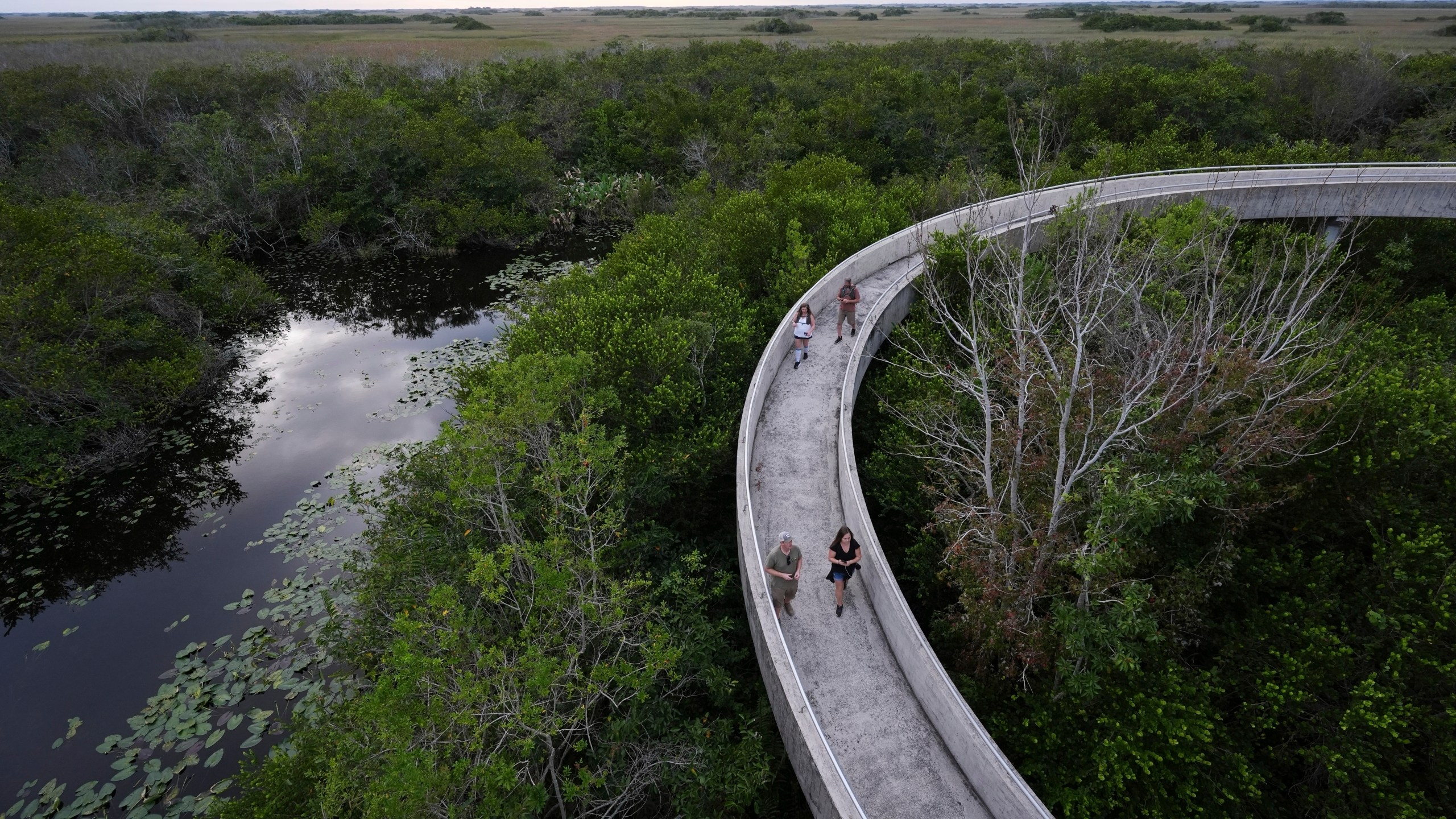 FILE - Visitors walk down a ramp after climbing Shark Valley observation point in Everglades National Park, Fla., Nov. 20, 2024. (AP Photo/Rebecca Blackwell, File)