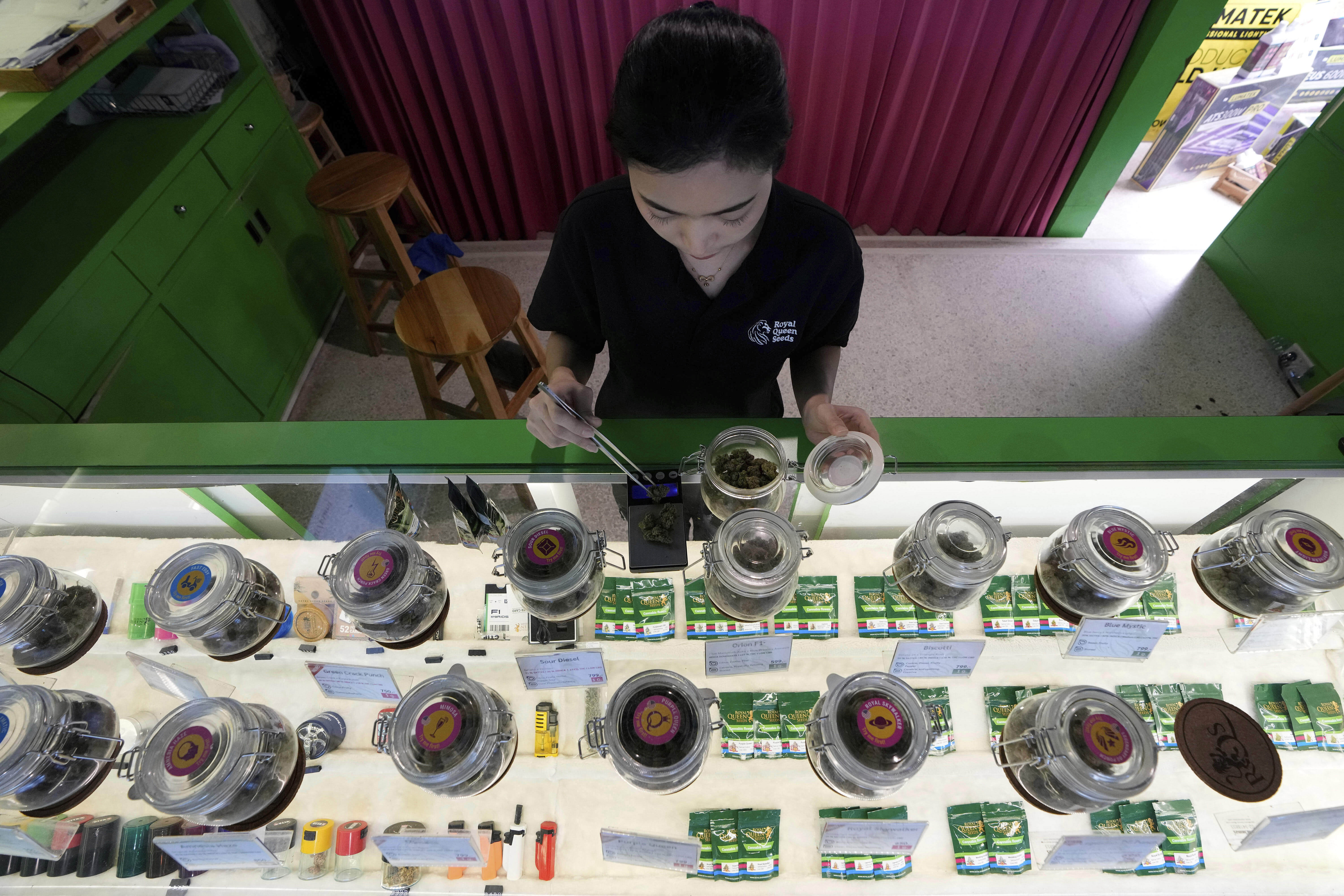 FILE- A staff prepares flower bud of cannabis for a customer at cannabis shop Bangkok, Thailand, July 18, 2024. (AP Photo/Sakchai Lalit, File)