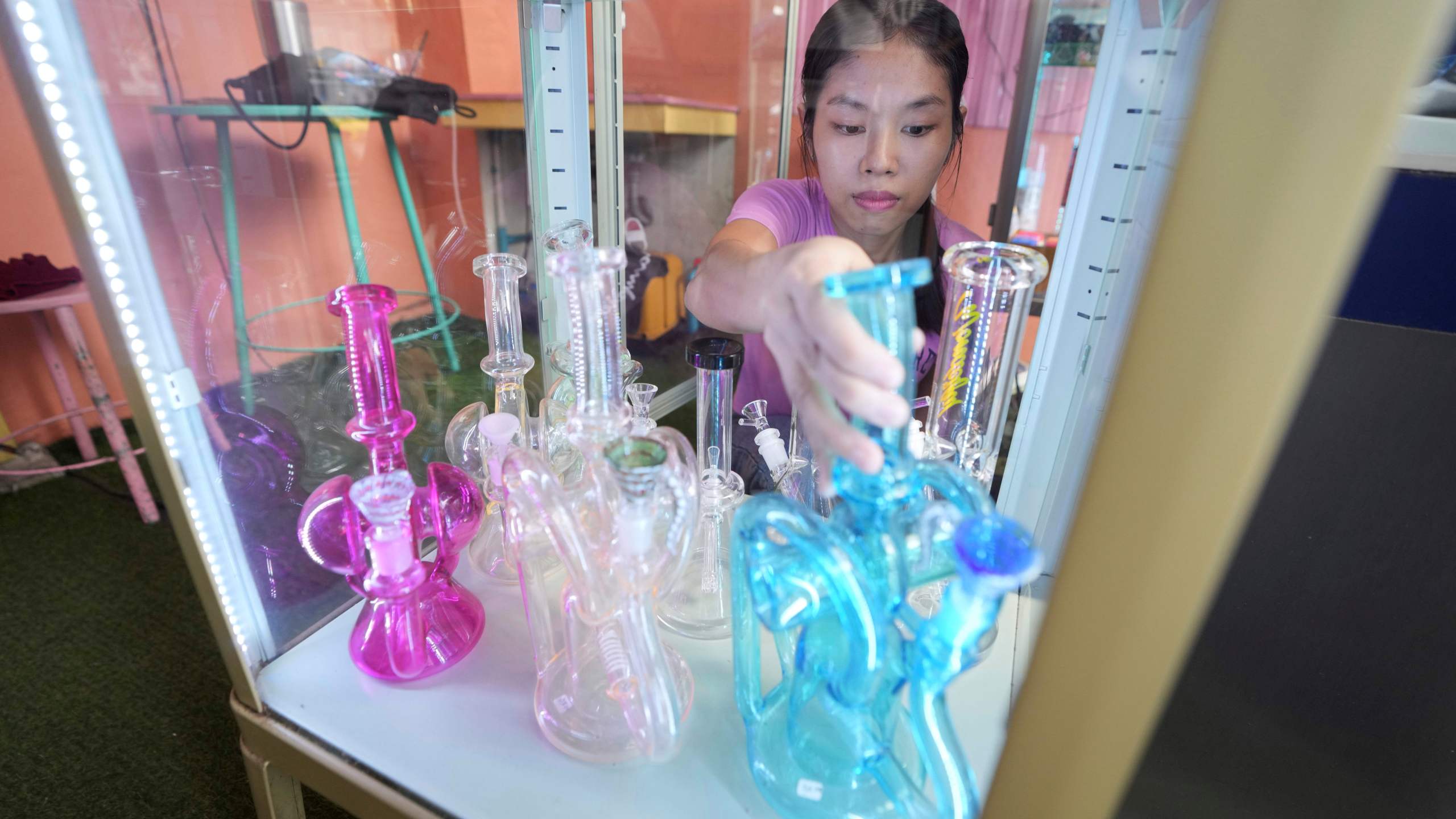A staff arranges bongs at a cannabis shop after Thailand started banning the sale of cannabis to those without a prescription in Bangkok, Thailand, Friday, June 27, 2025. (AP Photo/Sakchai Lalit)