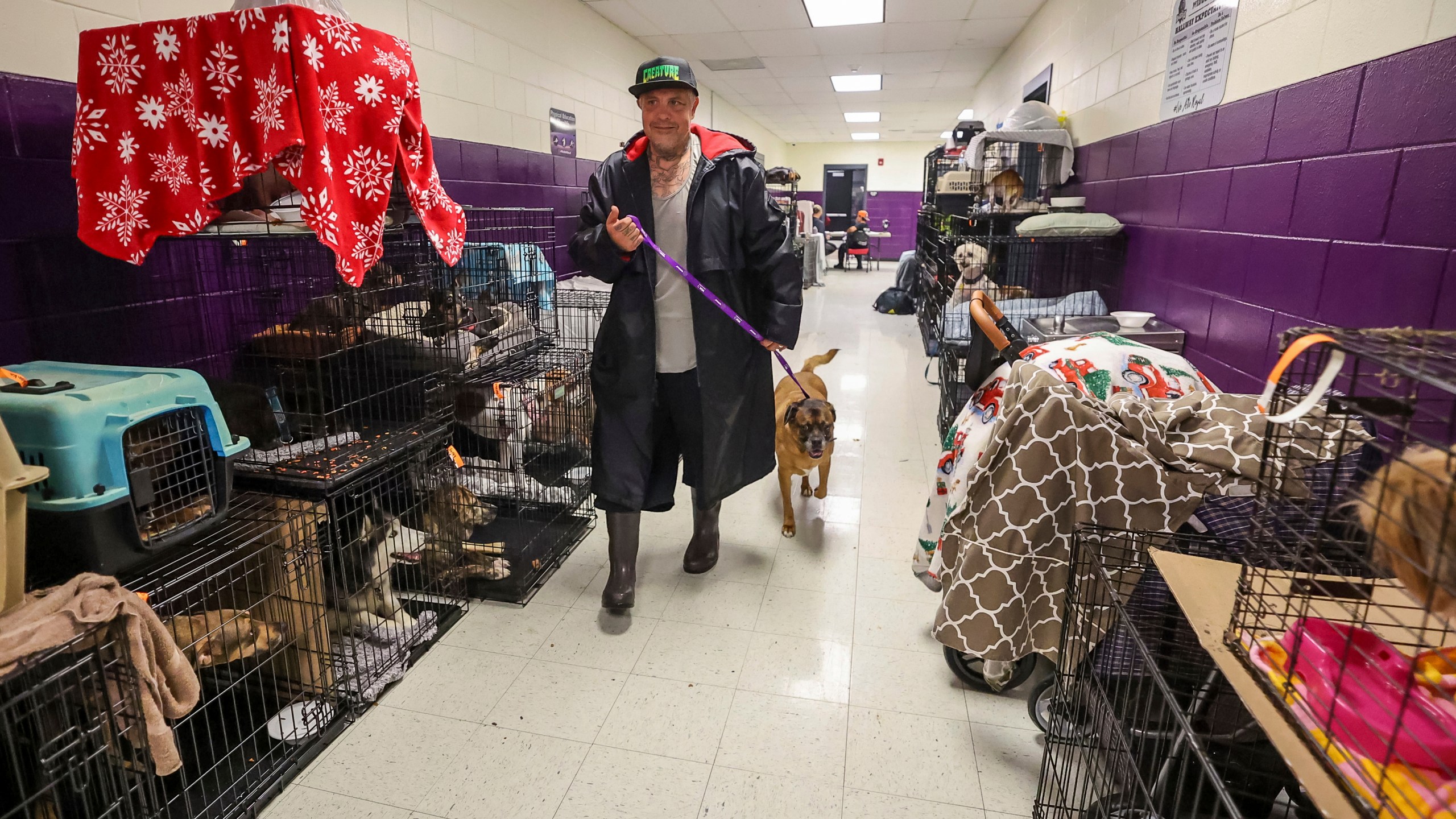 FILE - Logan Smith walks his dog, Zak, past some of the 283 registered pets in the evacuation shelter at River Ridge Middle/High School in preparation for Hurricane Milton on Wednesday, Oct. 9, 2024, in New Port Richey, Fla. (AP Photo/Mike Carlson, File)