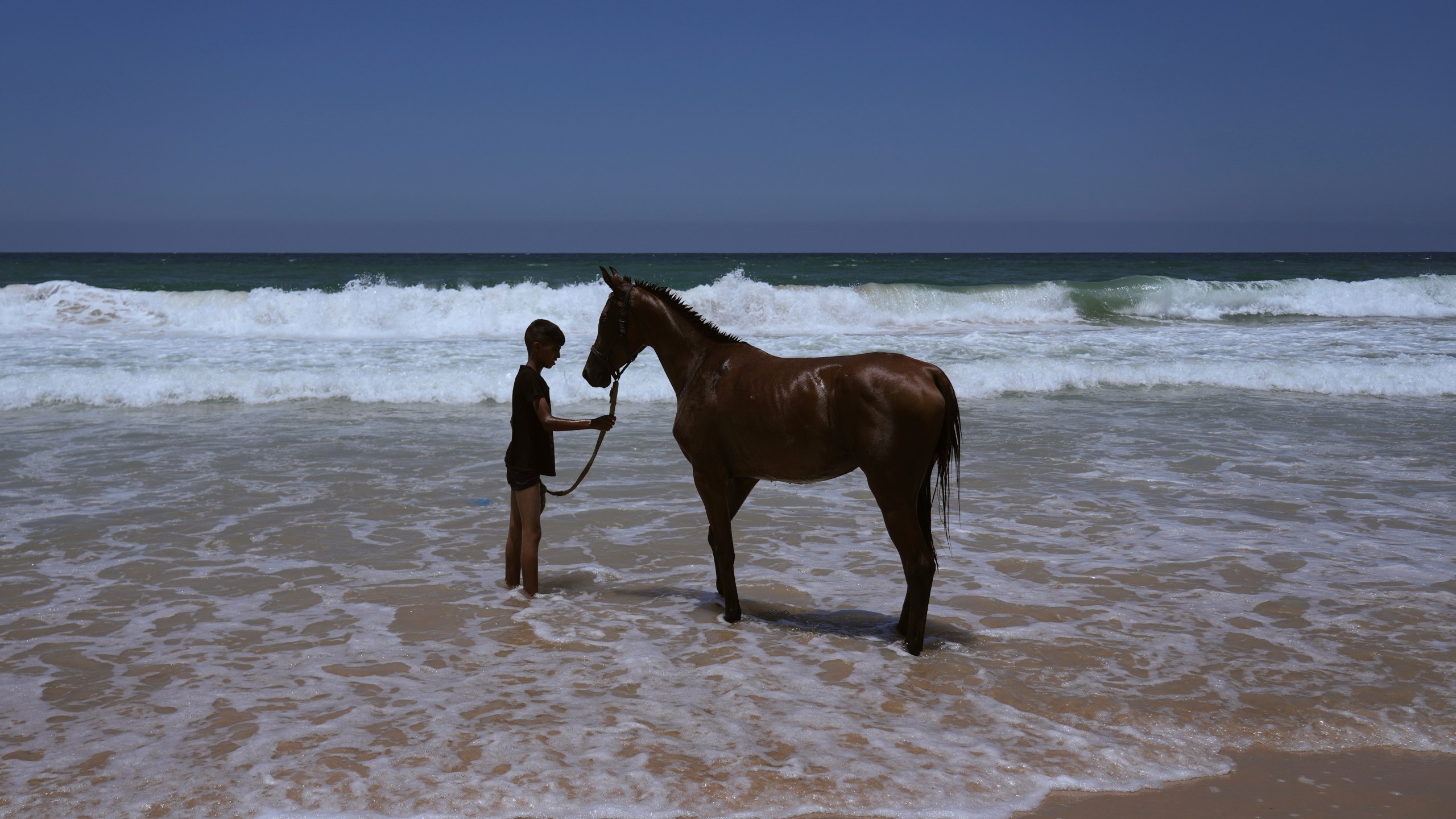 Palestinian youth Mahmoud Abu Ghazal washes his horse in the Mediterranean Sea off the coast of Al-Zawida in central Gaza Strip, Tuesday, July 15, 2025. (AP Photo/Abdel Kareem Hana)