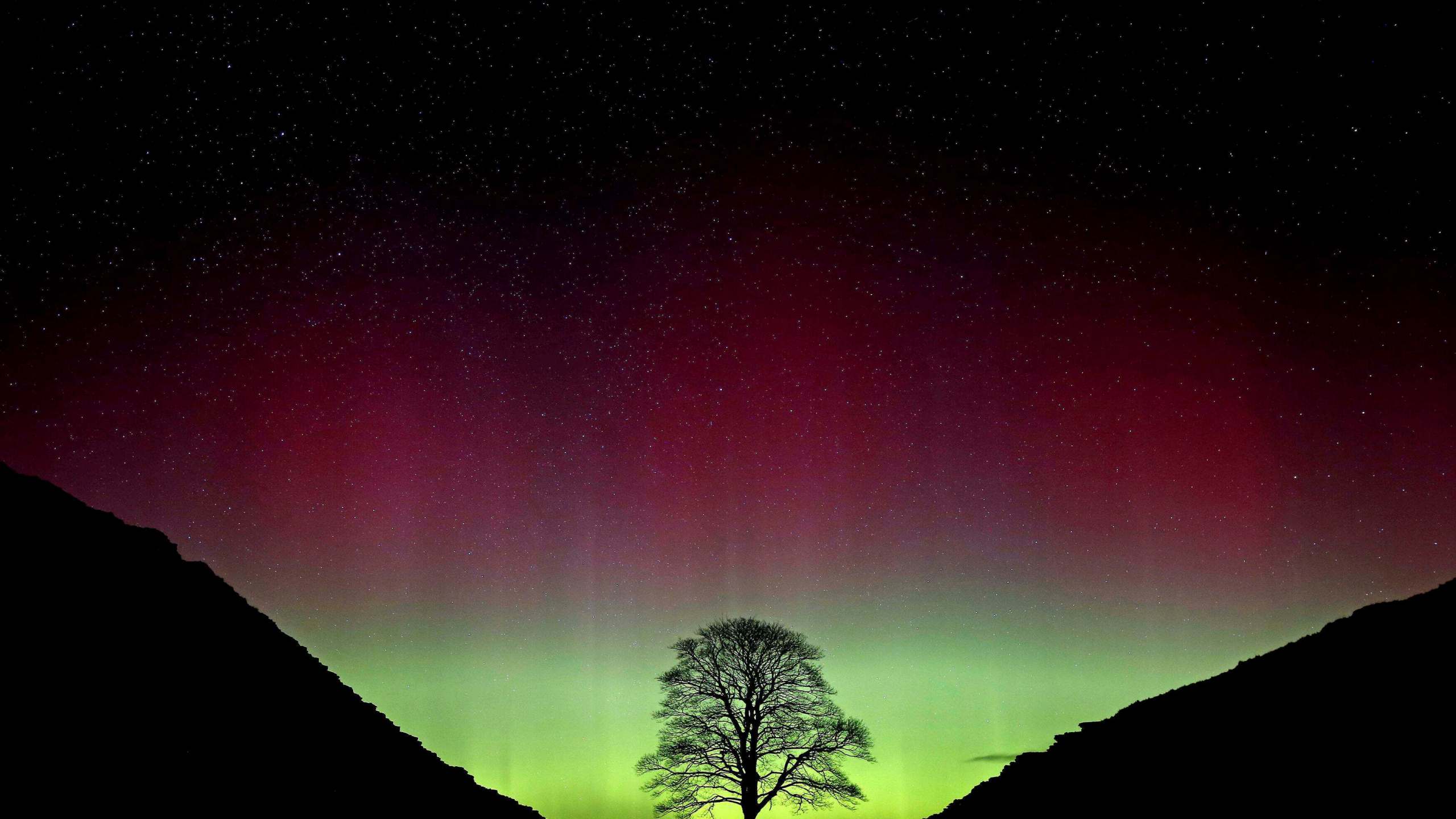 FILE - Northern Lights, or Aurora Borealis, shining over the Sycamore Gap tree, on Hadrian's Wall in Northumberland, England, July 3, 2016. (Owen Humphreys/PA via AP, File)/PA via AP)
