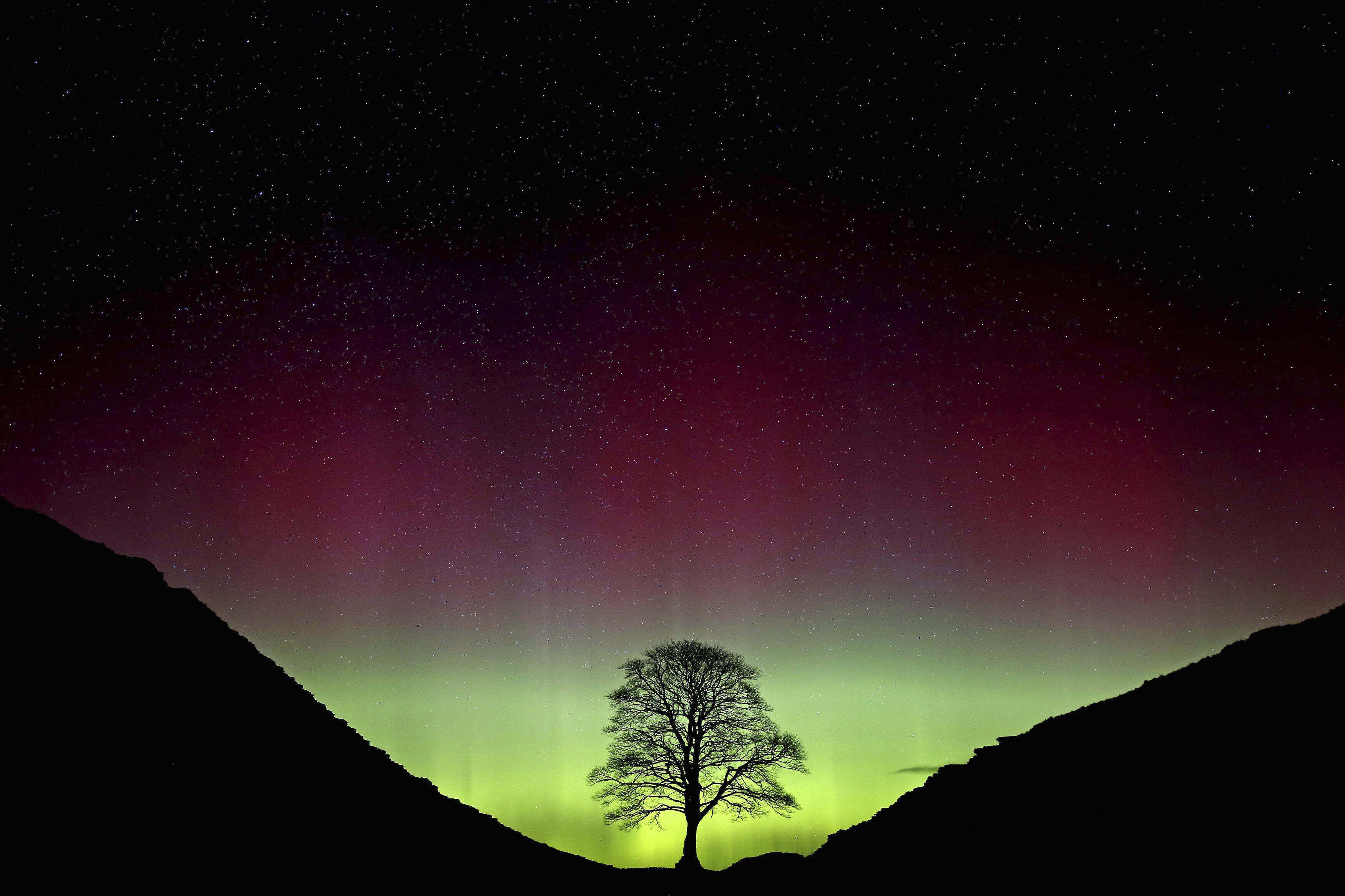 FILE - Northern Lights, or Aurora Borealis, shining over the Sycamore Gap tree, on Hadrian's Wall in Northumberland, England, July 3, 2016. (Owen Humphreys/PA via AP, File)/PA via AP)