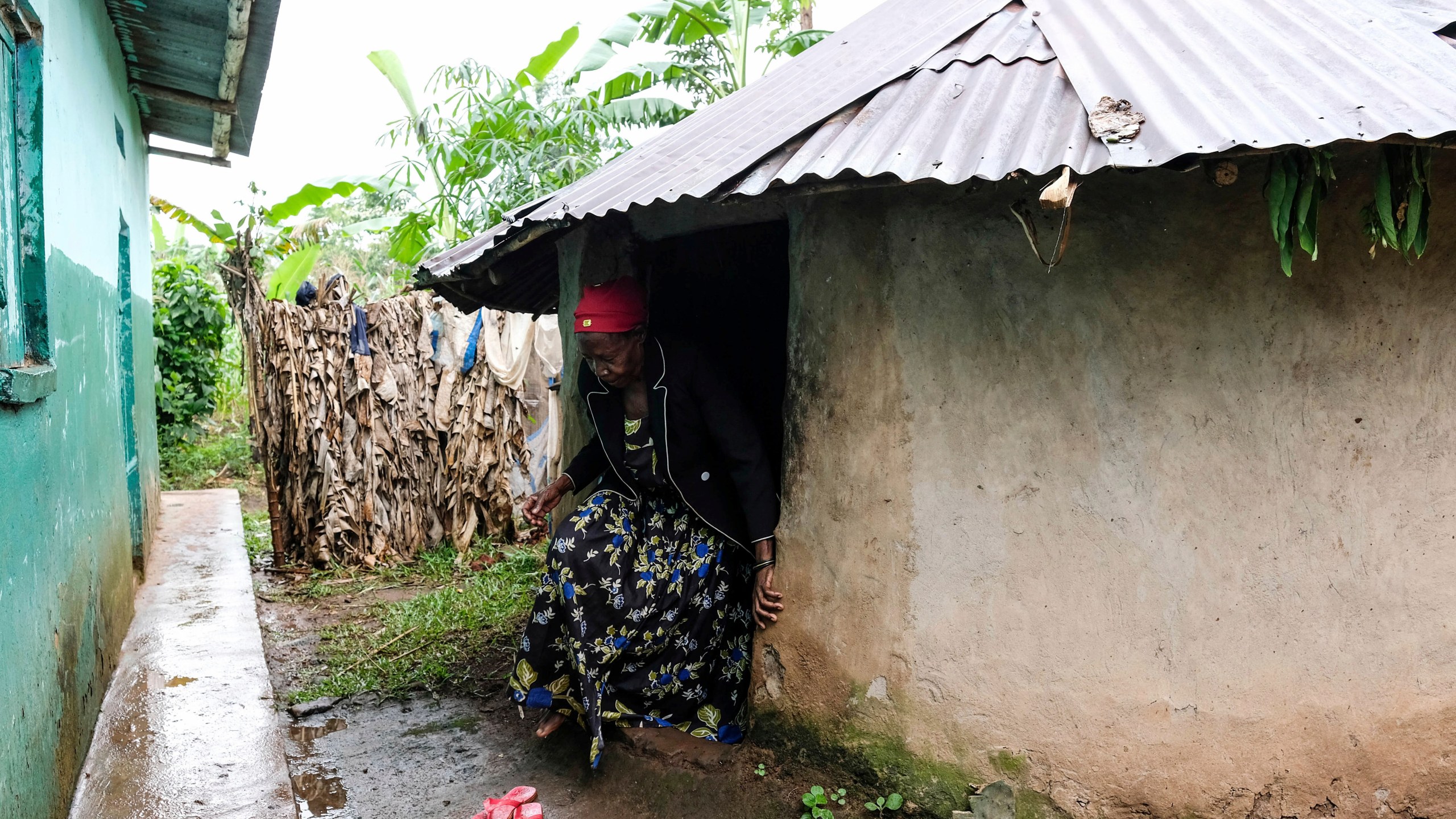 Traditional healer Rose Mukite walks out of her igloo-shaped shrine during an interview with The Associated Press in Kampala, Uganda Monday, June 23, 2025. (AP Photo/Hajarah Nalwadda)