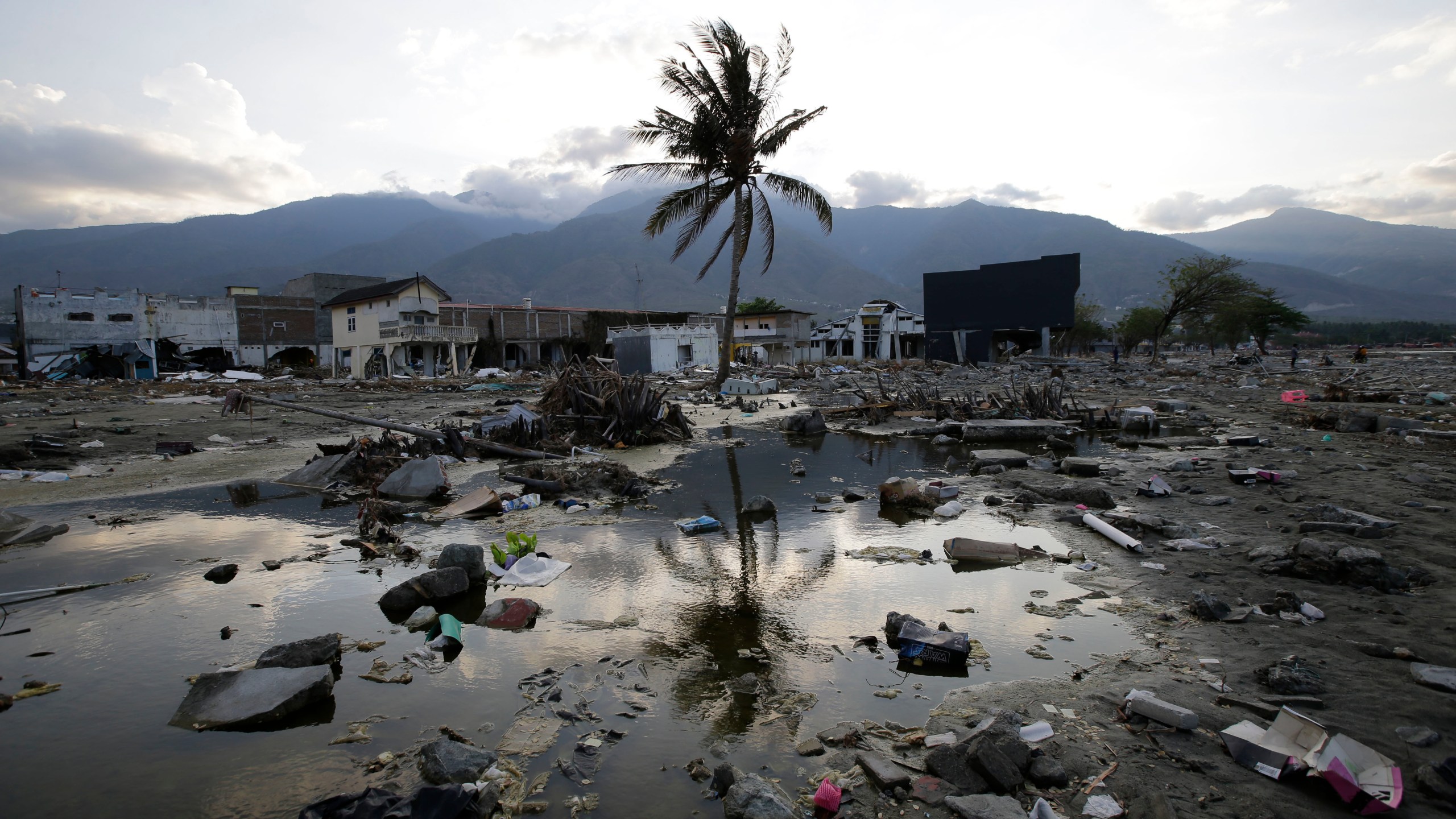 FILE - A lone tree stands in the debris from structures that were wiped out after a massive earthquake and tsunami hit Palu, Central Sulawesi, Indonesia Thursday, Oct. 4, 2018. (AP Photo/Aaron Favila, File)