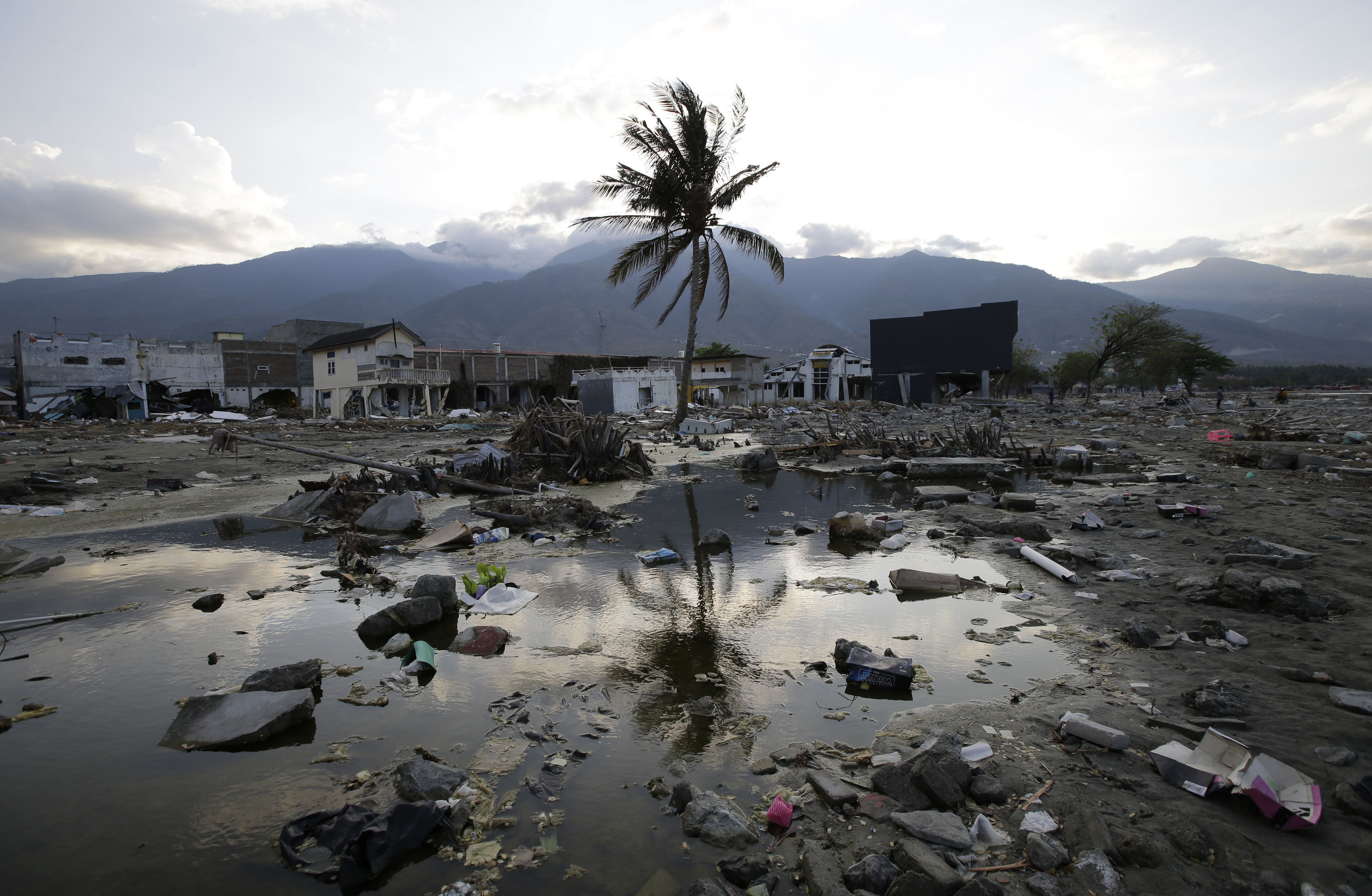 FILE - A lone tree stands in the debris from structures that were wiped out after a massive earthquake and tsunami hit Palu, Central Sulawesi, Indonesia Thursday, Oct. 4, 2018. (AP Photo/Aaron Favila, File)
