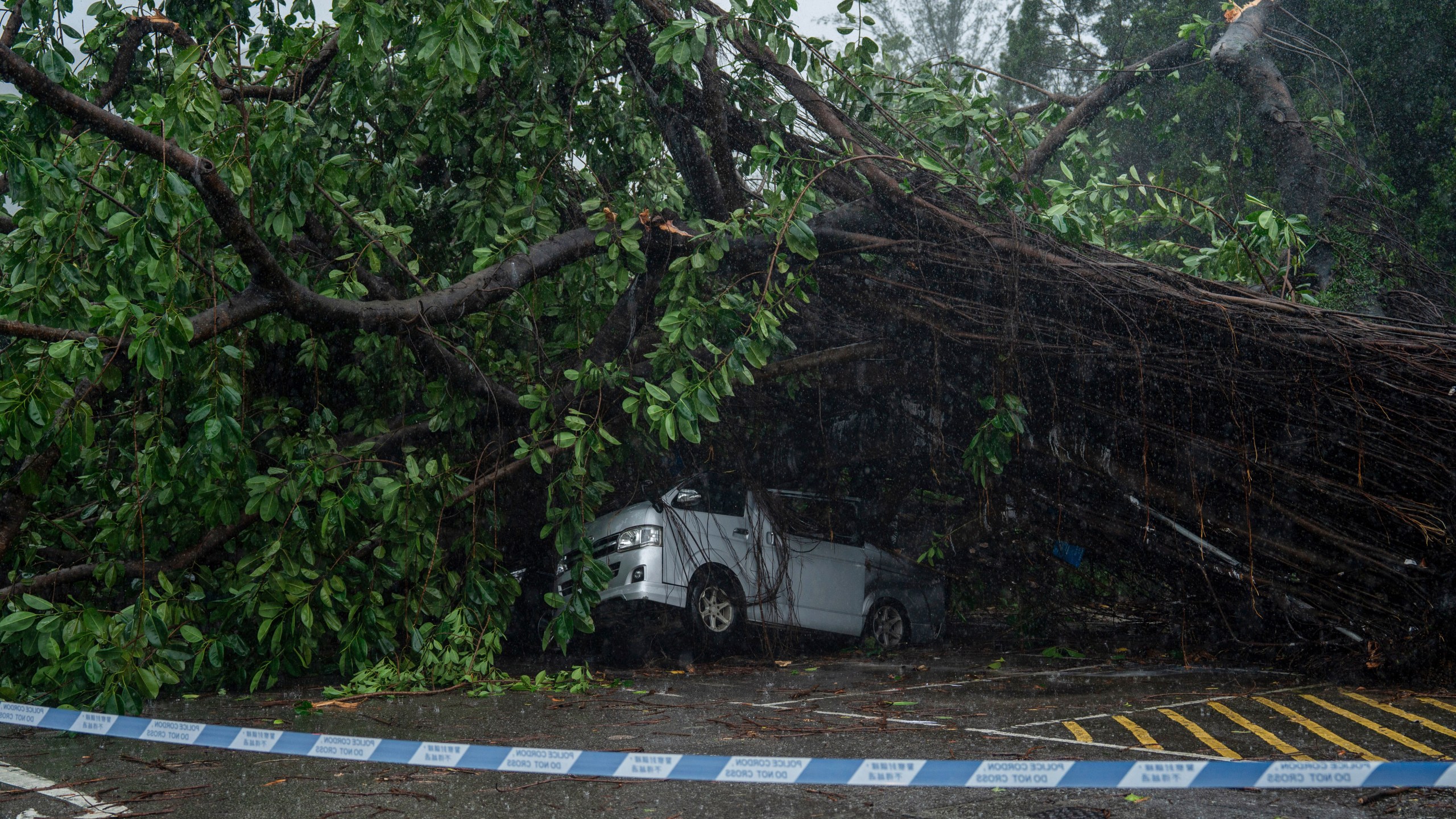 A vehicle sits damaged by fallen trees following the Typhoon Wipha, in Hong Kong, Sunday, July 20, 2025. (AP Photo/Vernon Yuen)