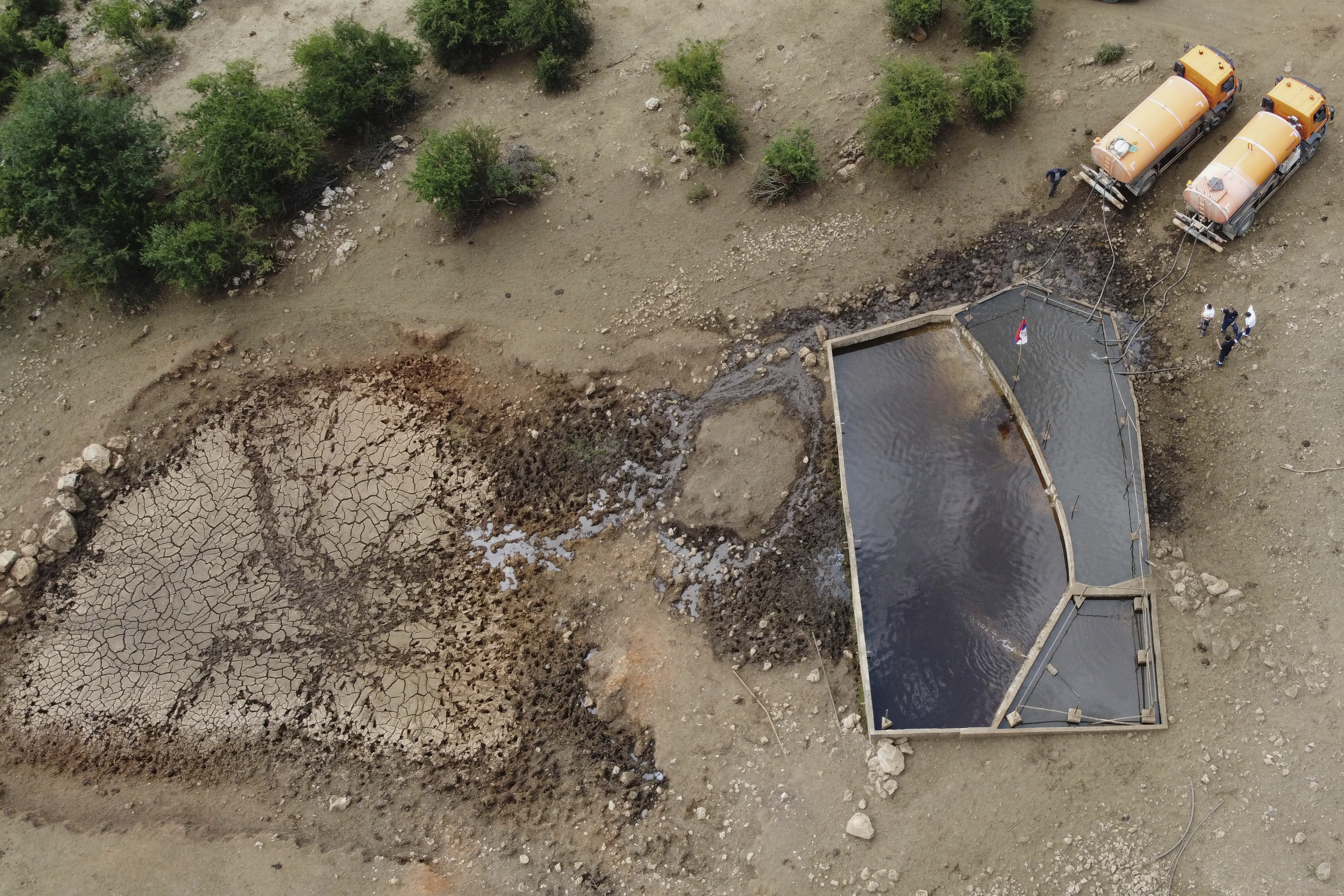 Workers used hoses to fill up the pond with water for hundreds of cows and horses during a severe drought on a mountain Suva Planina, in southeast Serbia, Thursday, July 17, 2025. (AP Photo/Darko Vojinovic)