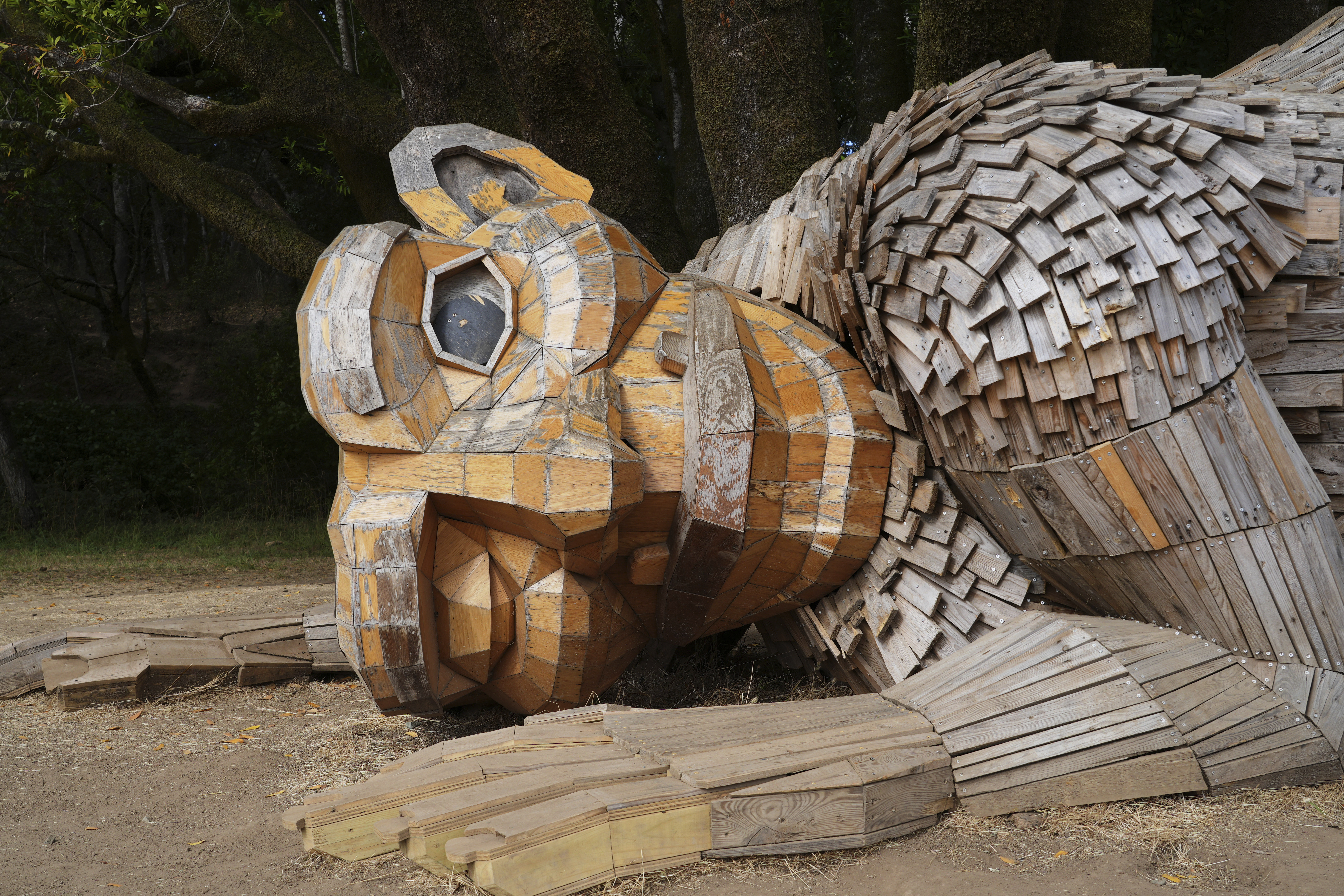 A giant troll sculpture created by the Danish recycle artist Thomas Dambo and his team that's part of an installation of six sculptures called "Trolls Save the Humans" is seen on display at the historic estate Filoli, Saturday, July 5, 2025, in Woodside, Calif. (AP Photo/Terry Chea)