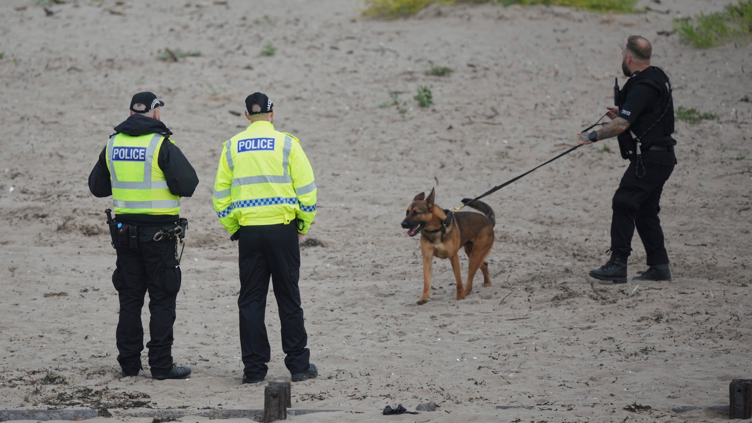 A police dog handler walks his dog on the beach to help with security at the Trump Turnberry golf course in Turnberry, Scotland, Friday, July 25, 2025, ahead of President Trump's visit Scotland. (AP Photo/Alastair Grant)