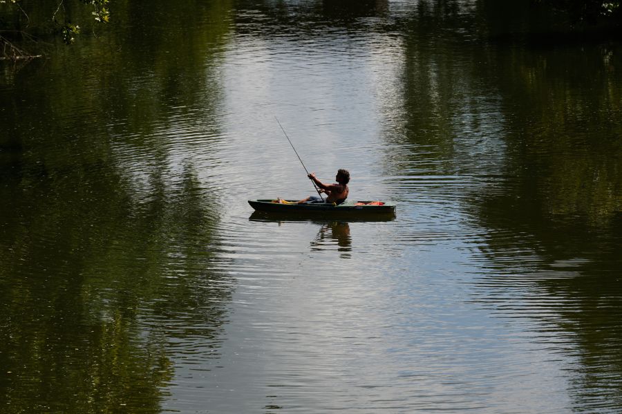 A person kayaks along the Stones River during a heat advisory, Friday, July 25, 2025, in Murfreesboro, Tenn. (AP Photo/George Walker IV)