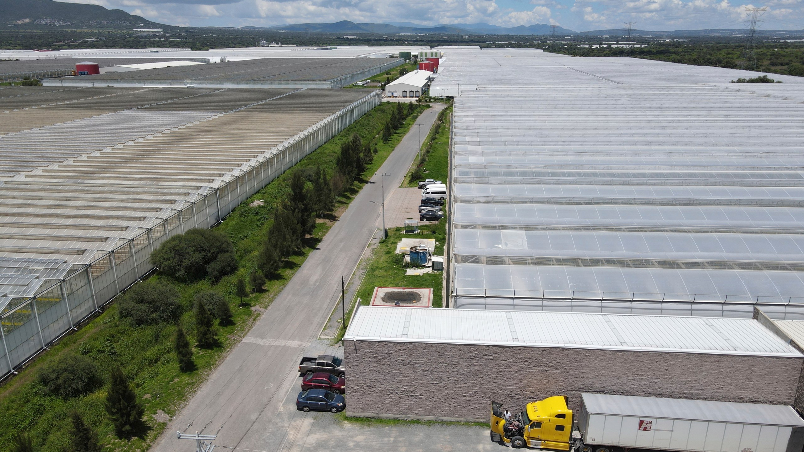 Greenhouses at the Veggie Prime tomato farm, which exports to the United States, in Ajuchitlan, Mexico, Wednesday, July 23, 2025. (AP Photo/Marco Ugarte)