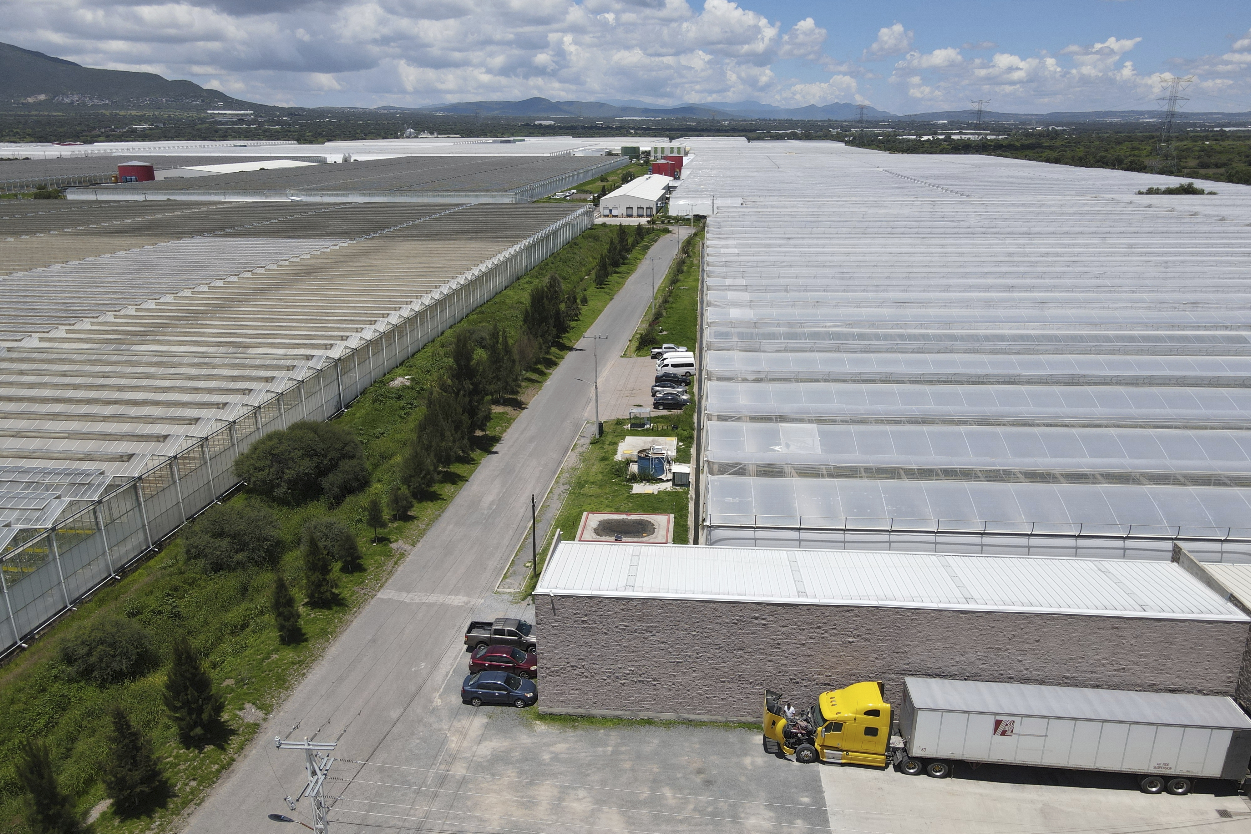 Greenhouses at the Veggie Prime tomato farm, which exports to the United States, in Ajuchitlan, Mexico, Wednesday, July 23, 2025. (AP Photo/Marco Ugarte)