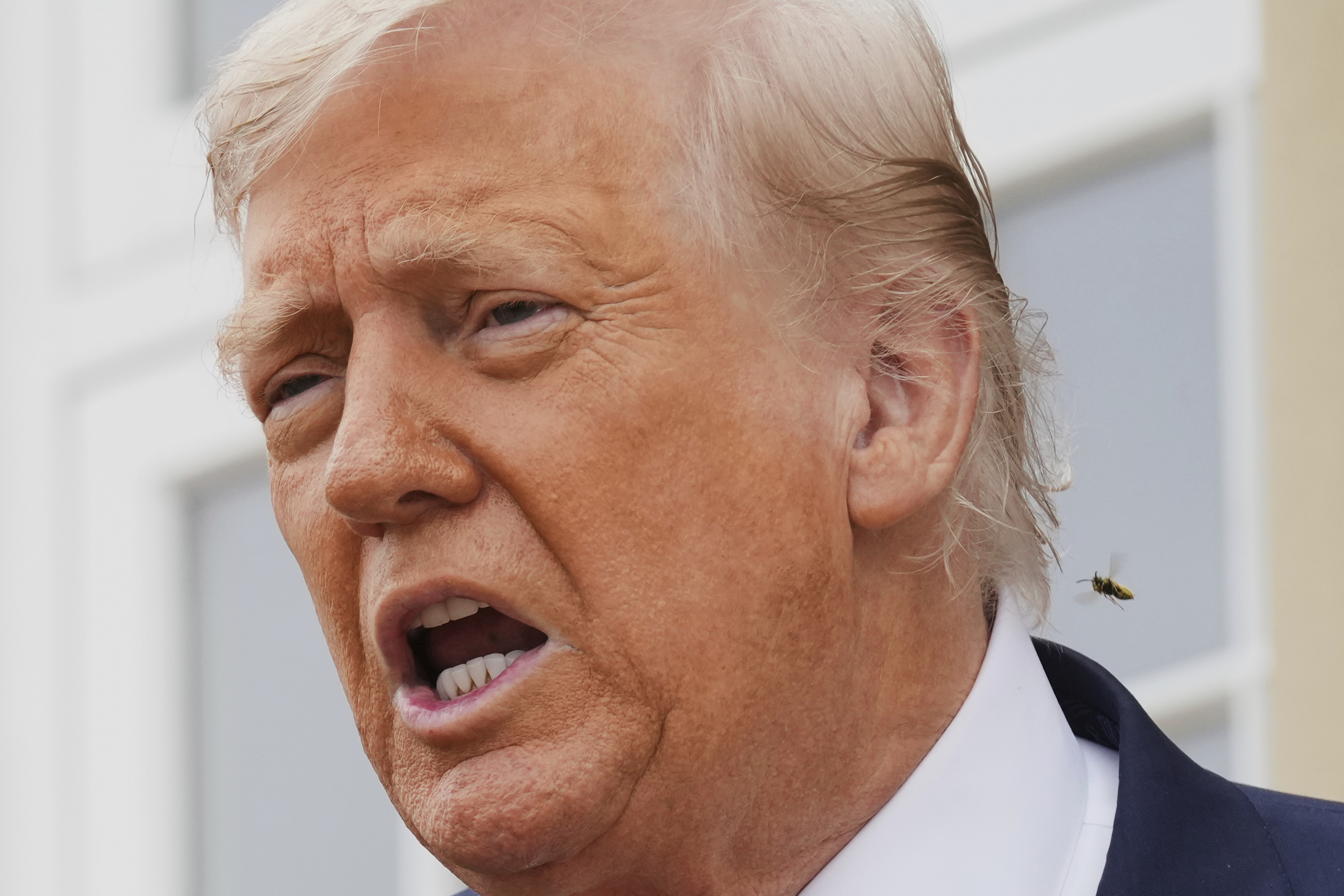 An insect hovers near President Donald Trump as he speaks with the media during an official greeting with Britain's Prime Minister Keir Starmer and his wife Victoria at the Trump Turnberry golf course in Turnberry, Scotland Monday, July 28, 2025. (AP Photo/Jacquelyn Martin)
