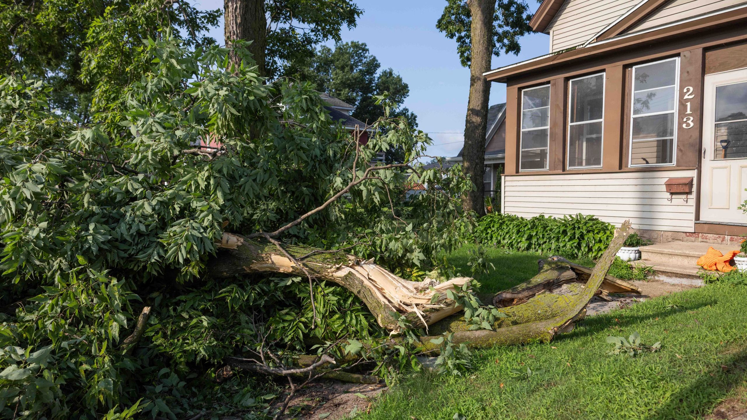 A downed tree limb blocks the entryway of a house on Copeland Avenue after a storm with extreme winds in La Crosse, Wis., Tuesday, July 29, 2025. (Saskia Hatvany/La Crosse Tribune via AP)