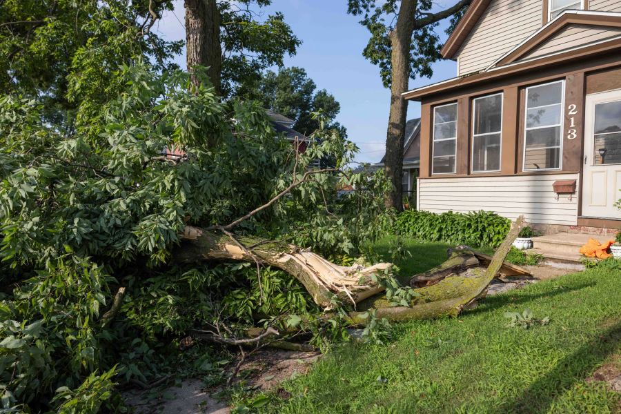 A downed tree limb blocks the entryway of a house on Copeland Avenue after a storm with extreme winds in La Crosse, Wis., Tuesday, July 29, 2025. (Saskia Hatvany/La Crosse Tribune via AP)