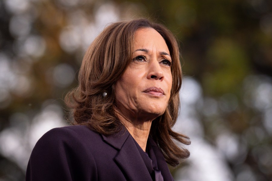 FILE - Democratic presidential nominee Vice President Kamala Harris speaks in Washington, Nov. 6, 2024. (AP Photo/Jacquelyn Martin, File)