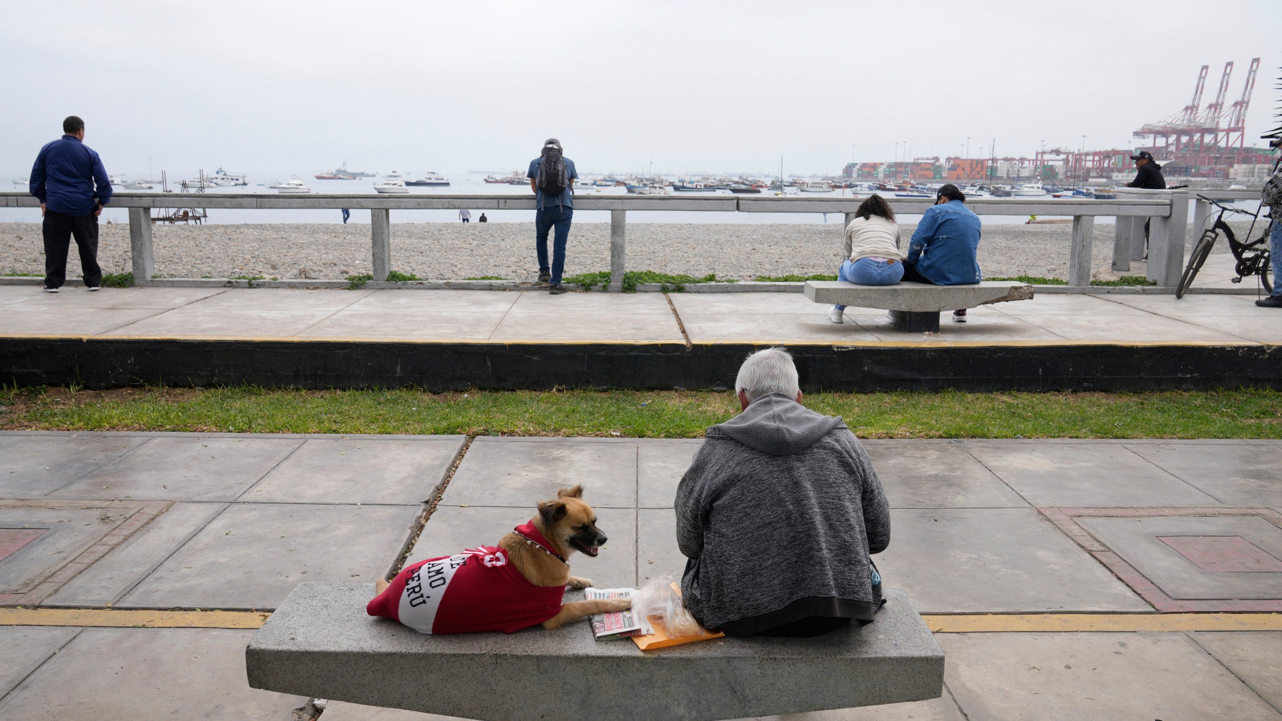 A man rests with his dog by Abtao beach in Callao, Peru, Wednesday, July 30, 2025, following a tsunami warning after a earthquake that struck off the coast of Russia. (AP Photo/Martin Mejia)