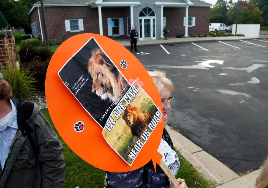 FILE - Demonstrators gather outside the dental practice of Walter Palmer, Sept. 8, 2015, in Bloomington, Minn. AP Photo/Jim Mone, File)