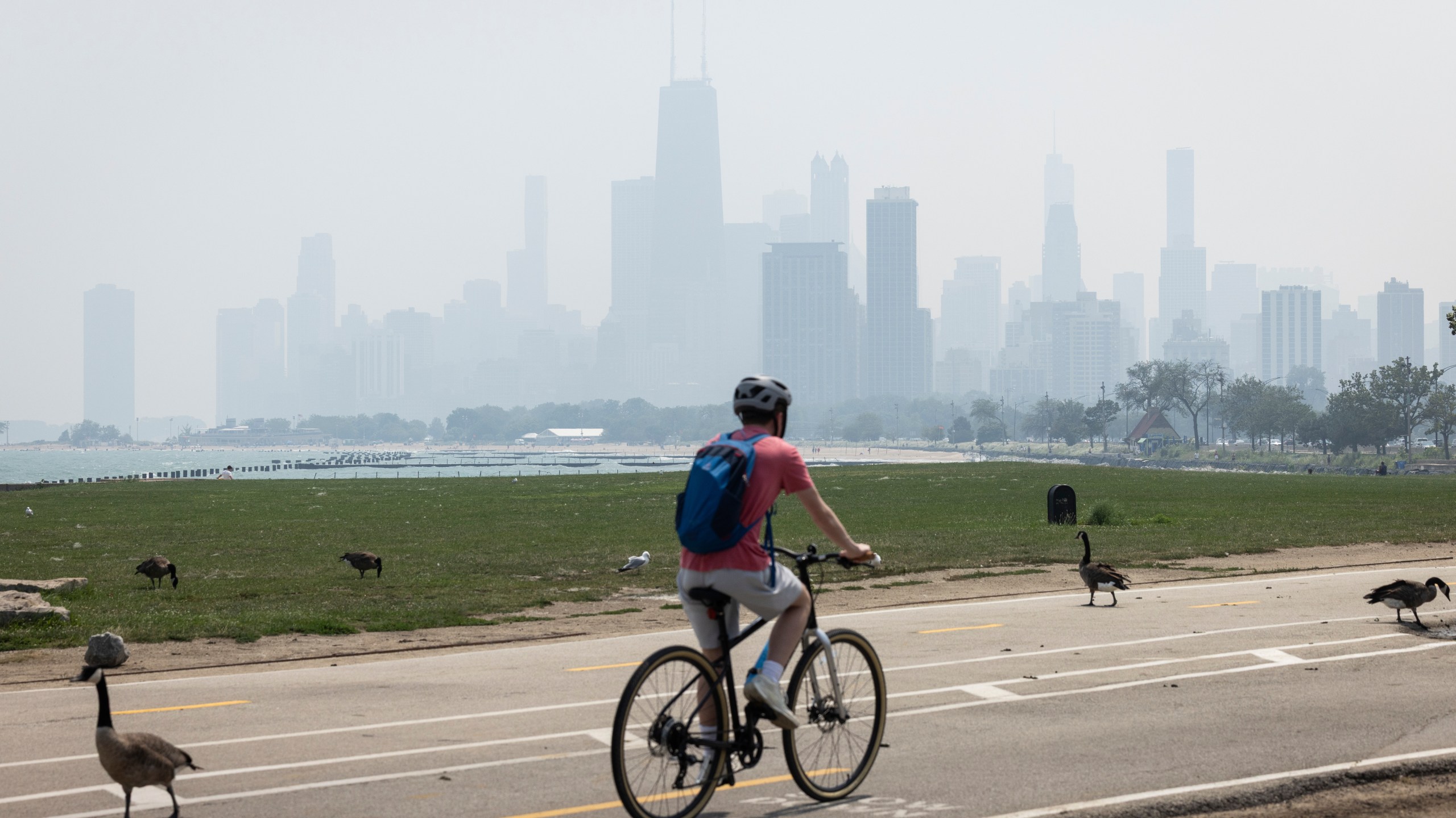 People sun tan on the Lakefront Trail on the North Side as a haze of Canadian wildfire smoke blankets the Chicago area and creates poor air quality, Thursday, July 31, 2025. (Ashlee Rezin/Chicago Sun-Times via AP)
