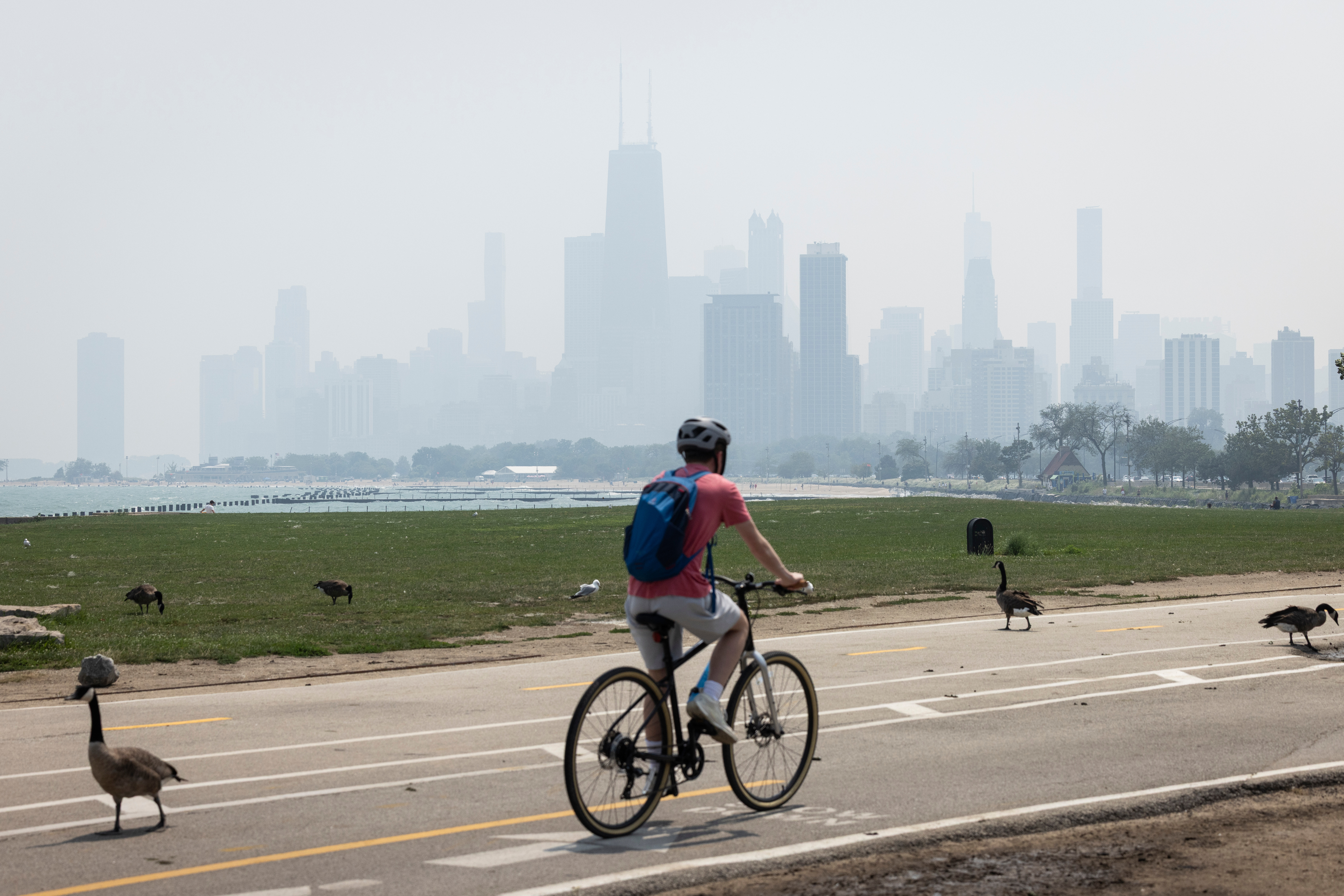 People sun tan on the Lakefront Trail on the North Side as a haze of Canadian wildfire smoke blankets the Chicago area and creates poor air quality, Thursday, July 31, 2025. (Ashlee Rezin/Chicago Sun-Times via AP)