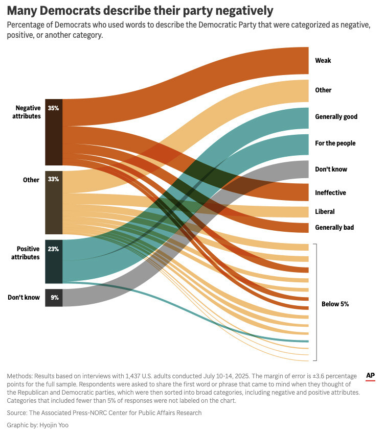 A chart showing how Democrats described their own party in an open ended survey question. (AP Digital Embed)