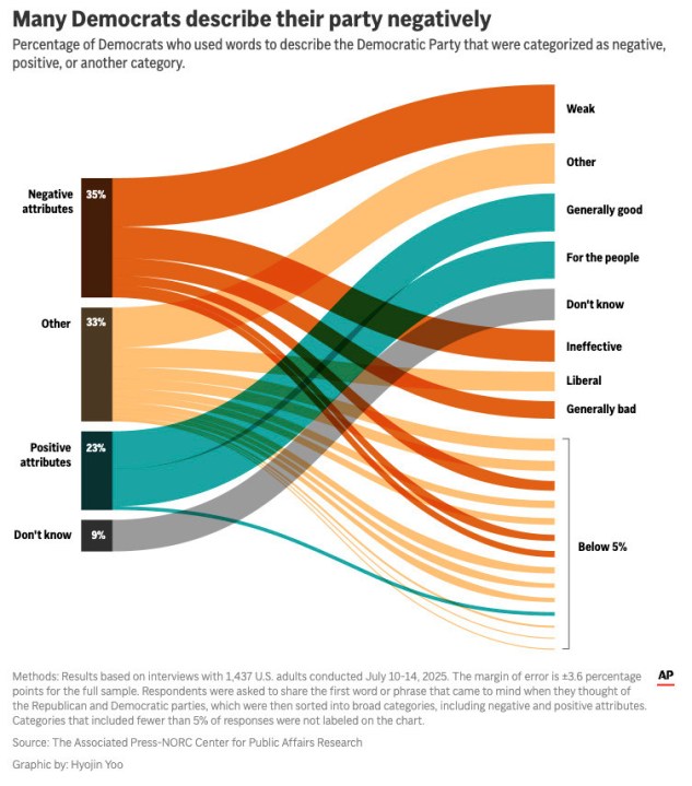 A chart showing how Democrats described their own party in an open ended survey question. (AP Digital Embed)