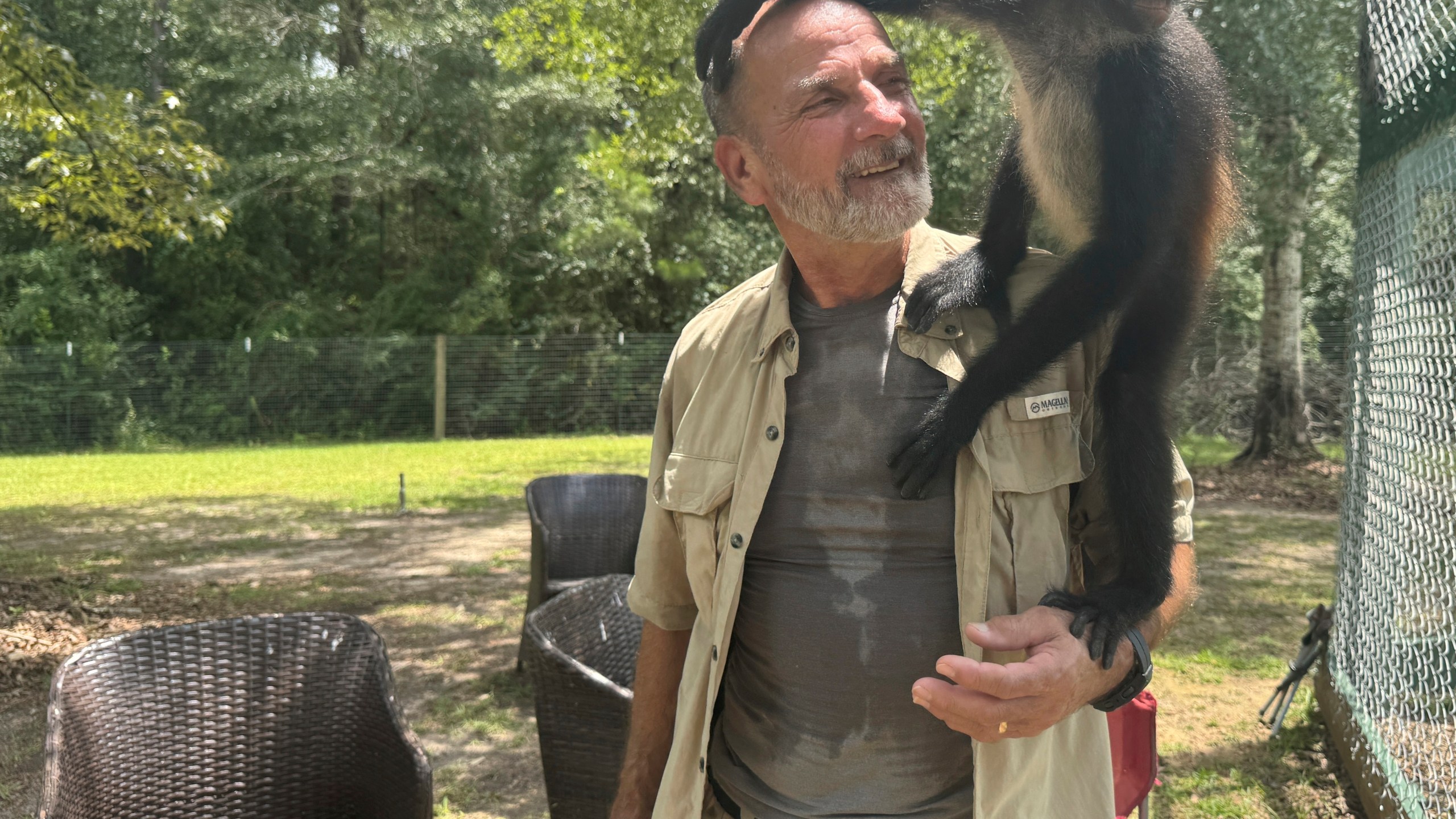 Louie the spider monkey climbs on John Richard, a volunteer at the Gulf Coast Primate Sanctuary in Perkinston, Mississippi on Friday, July 25, 2025. (AP Photo/Sophie Bates)