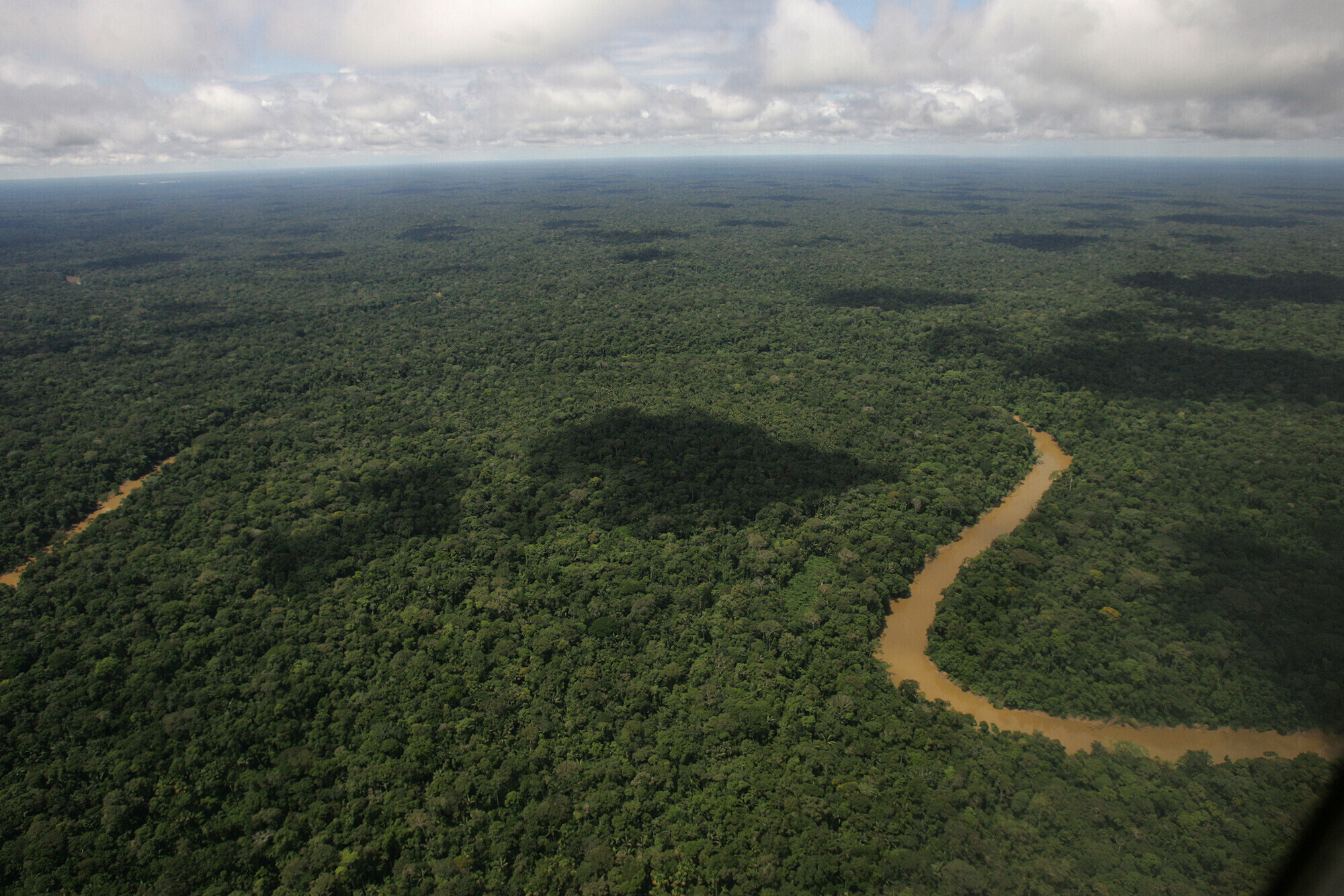 FILE - The Yasuni National Park is visible in Ecuador's northeastern jungle on May 17, 2007. (AP Photo/Dolores Ochoa, File)