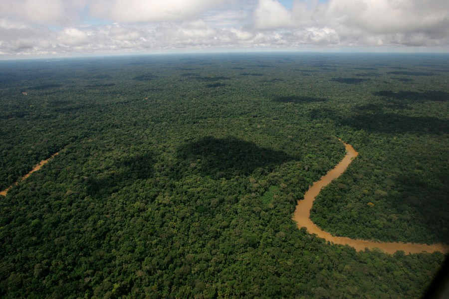 FILE - The Yasuni National Park is visible in Ecuador's northeastern jungle on May 17, 2007. (AP Photo/Dolores Ochoa, File)