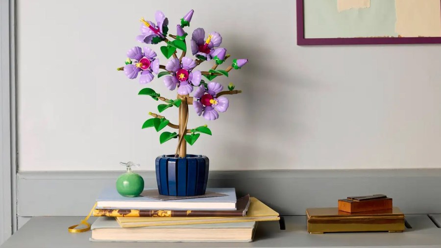 LEGO / LEGO adds another flower to its coveted ‘Botanicals’ collection