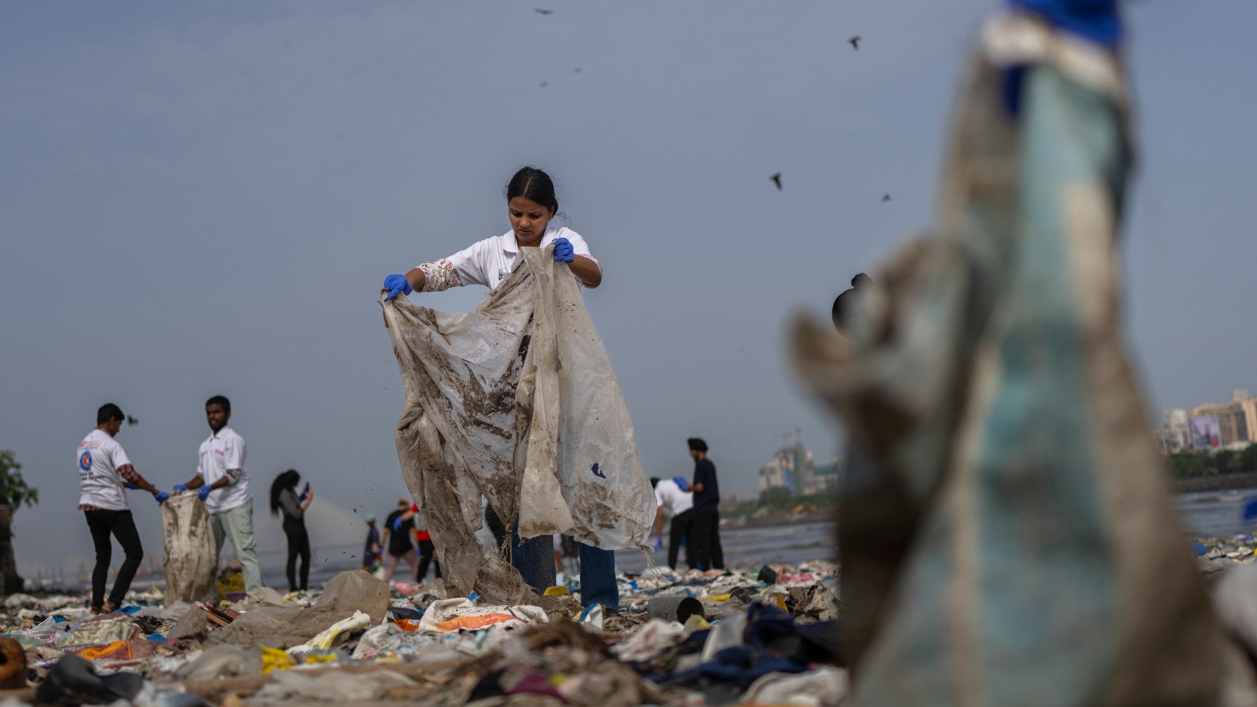 FILE - Volunteers clean up plastic and other waste materials on a beach on the Arabian Sea coast on World Environment Day in Mumbai, India, June 5, 2025. (AP Photo/Rafiq Maqbool, File)