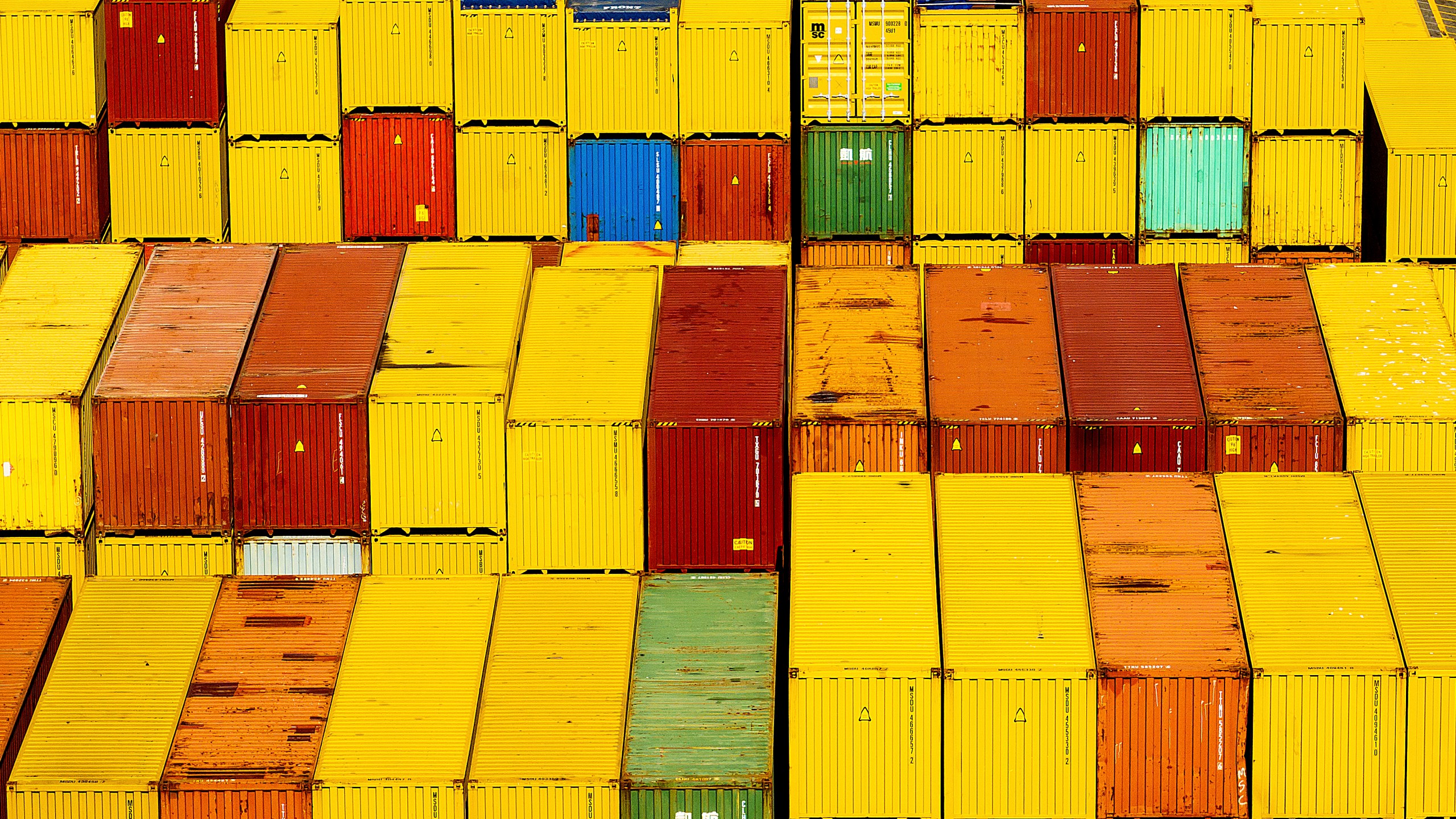 Cargo containers are seen at a shipping terminal at the Port of Oakland on Wednesday, Aug. 6, 2025, in Oakland, Calif. (AP Photo/Noah Berger)