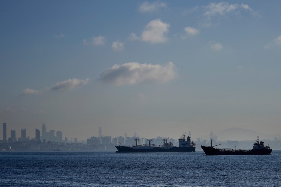 FILE - Cargo ships anchored in the Marmara Sea wait to cross the Bosphorus Straits in Istanbul, Nov. 1, 2022. (AP Photo/Khalil Hamra, File)