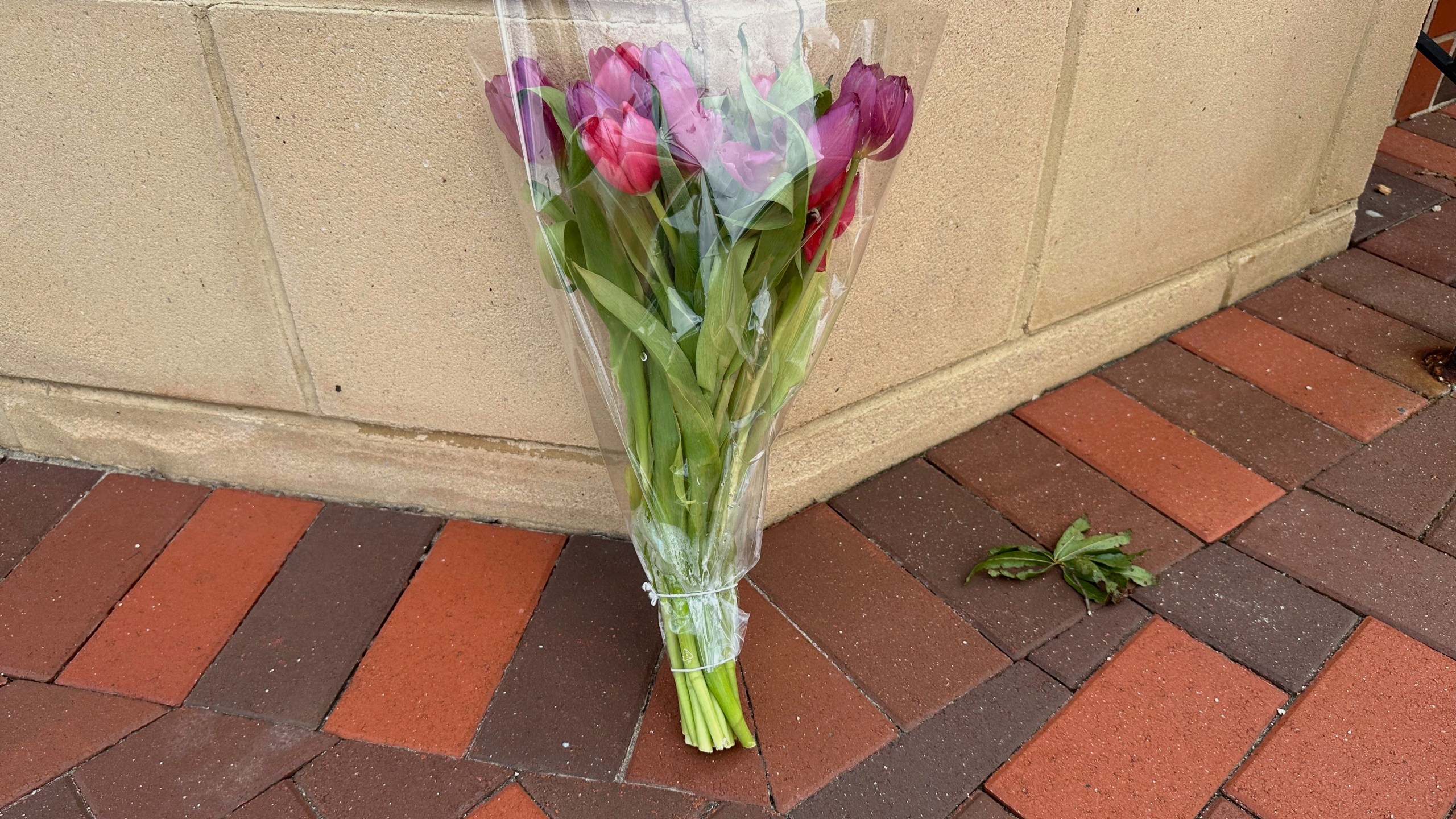 A lone bouquet sits outside a CVS pharmacy on Saturday, Aug. 9, 2025, near where police say a man was shooting at the headquarters of the U.S. Centers for Disease Control and Prevention in Atlanta (AP Photo/Jeff Amy)
