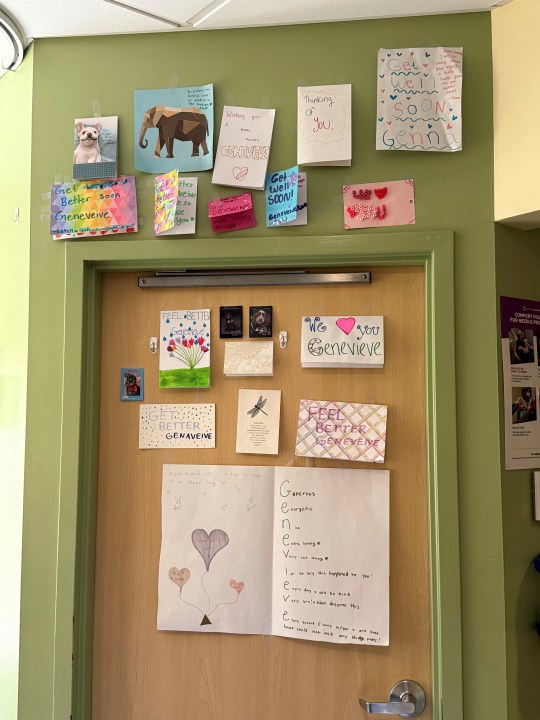 In this photo provided by Wanda Stipek, cards made by classmates for Minneapolis shooting victim Genevieve Bisek are seen taped to the wall of Genevieve's hospital room at Hennepin County Medical Center in Minneapolis, Saturday, Aug. 30, 2025. (Wanda Stipek via AP)