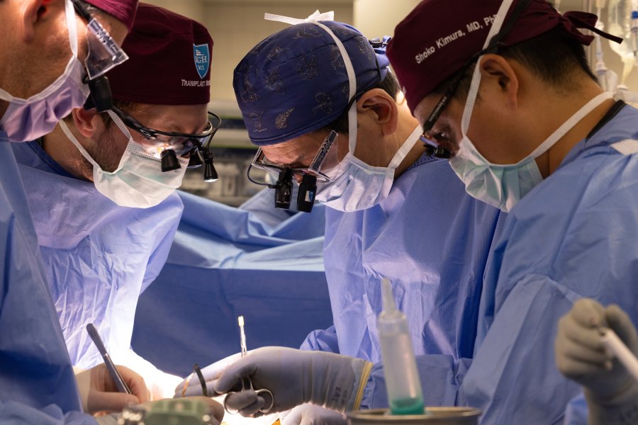 In this photo provided by Mass General Brigham, from left, surgeons Dr. Nahel Elias, Dr. Alban Longchamp, Dr. Tatsuo Kawai and Dr. Shoko Kimura transplant a genetically edited pig kidney into Bill Stewart June 14, 2025 at Massachusetts General Hospital in Boston. (Sarah Evans/Mass General Brigham via AP)