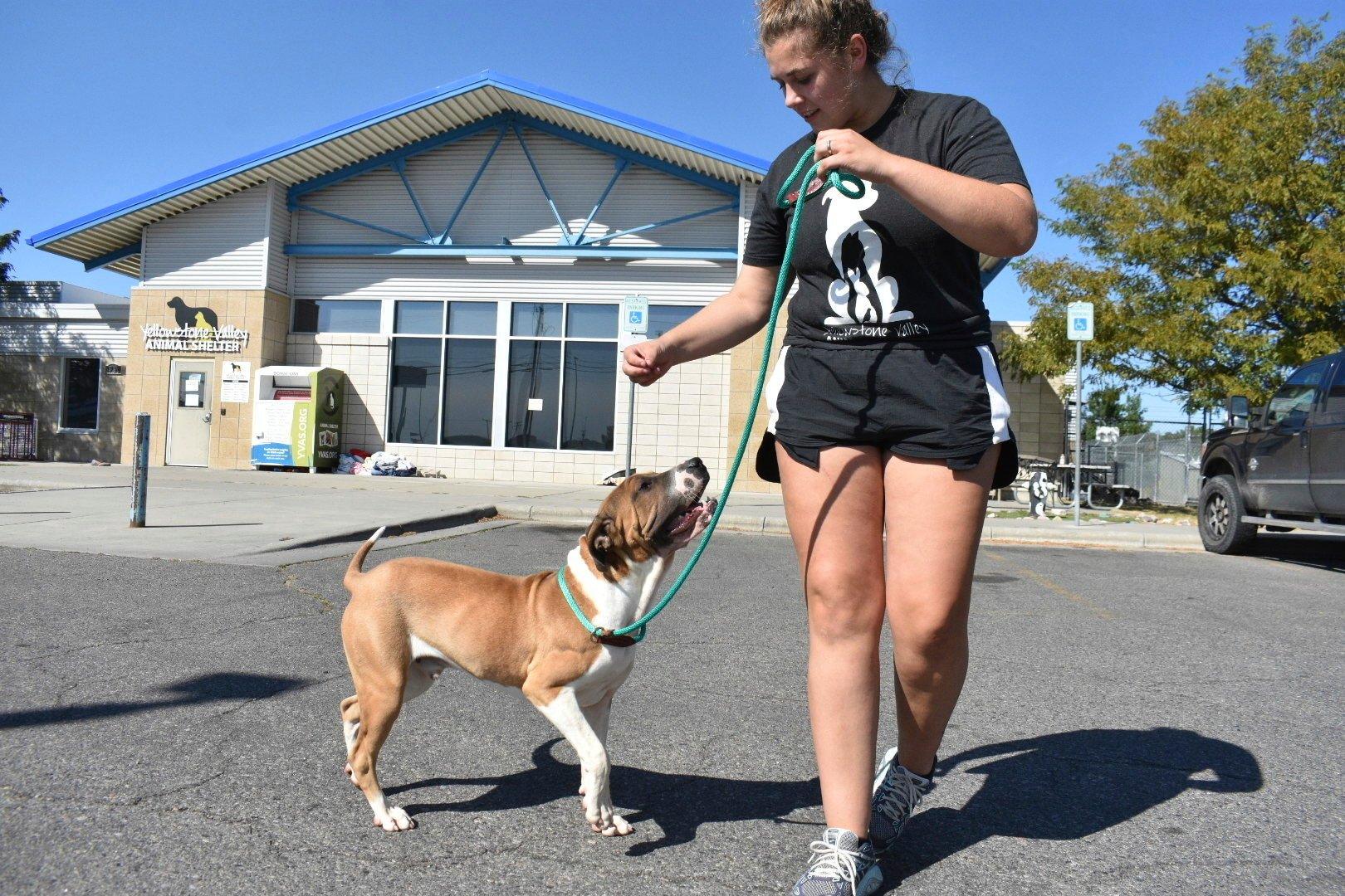 Izzy Zalenski, right, walks Paul outside the Yellowstone Valley Animal Shelter on Friday, Sept. 12, 2025, in Billings, Mont. (AP Photo/Matthew Brown)