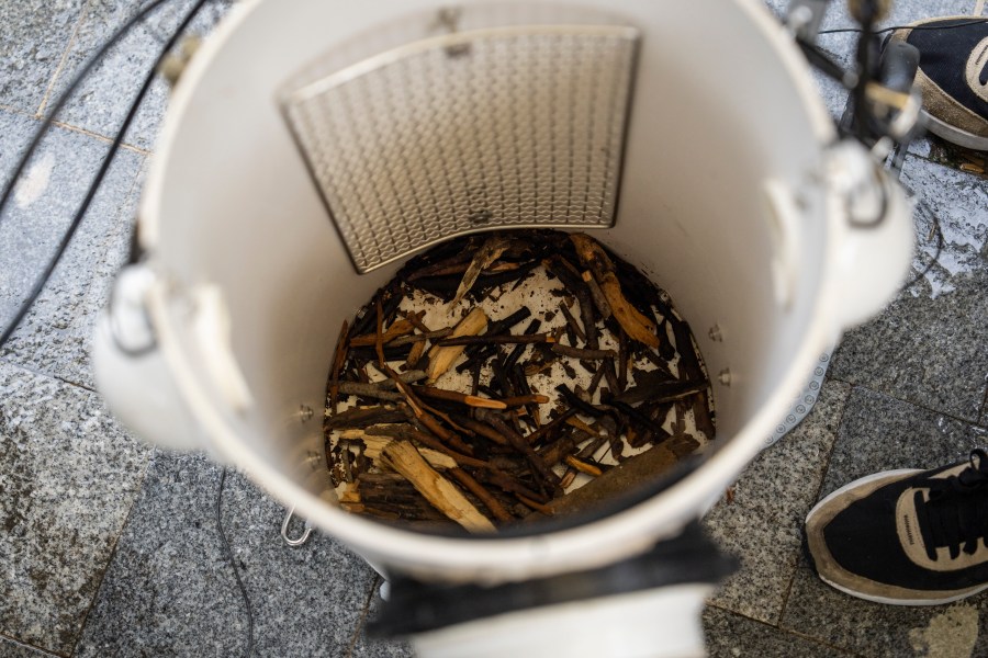 Sticks are placed on the bottom of an artificial nest box for wild yellow-crested cockatoos in Victoria Park in Hong Kong, on Aug. 18, 2025. (AP Photo/Chan Long Hei)
